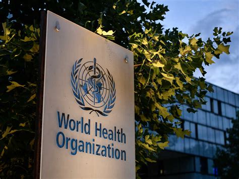 WHO Reports On Sex Scandal Involving Its Staff During Congo's .